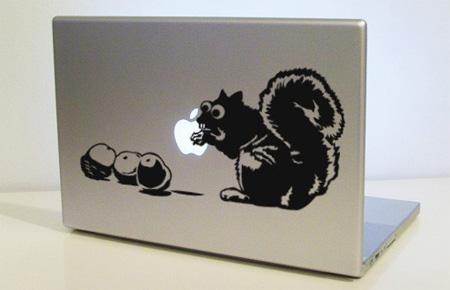 La pomme ne laisse pas cet écureuil indifférent...